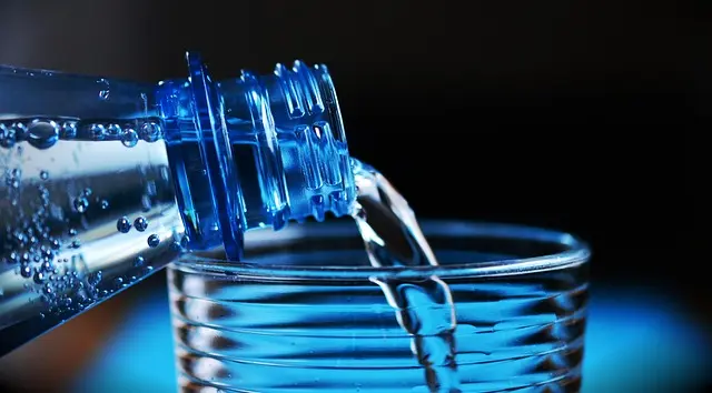 Pourquoi un suivi vétérinaire régulier est essentiel